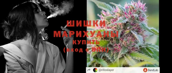 PSILOCYBIN Гусев